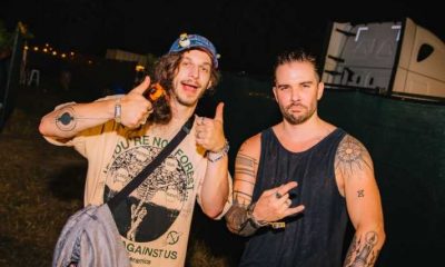 subtronics seven lions